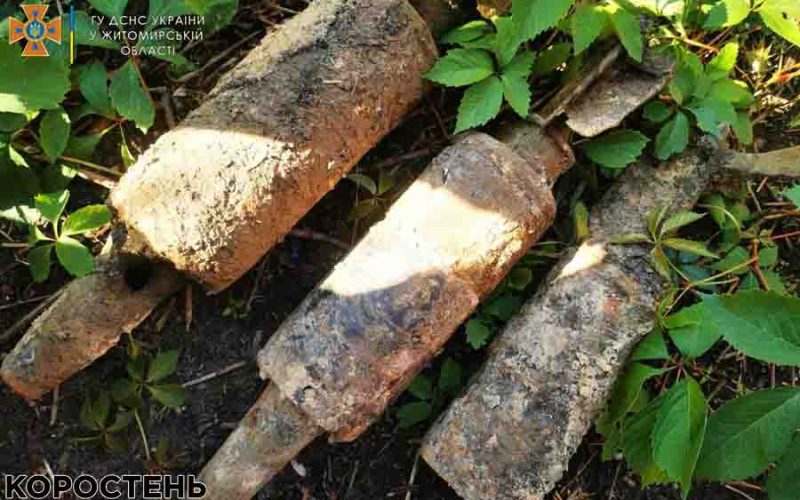 У Коростенському районі грибники натрапили на снаряди ?ФОТО