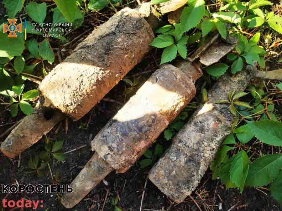 У Коростенському районі грибники натрапили на снаряди ?ФОТО