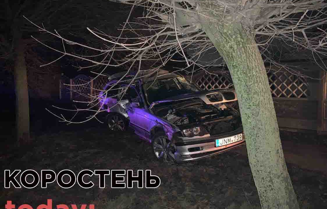 На Пашинах в Коростені через ДТП дерево вирвало з корінням (ФОТО)