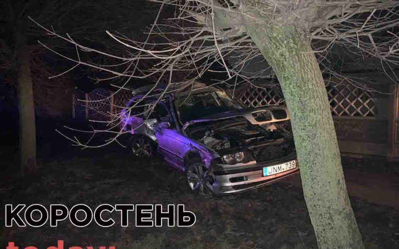 На Пашинах в Коростені через ДТП дерево вирвало з корінням (ФОТО)