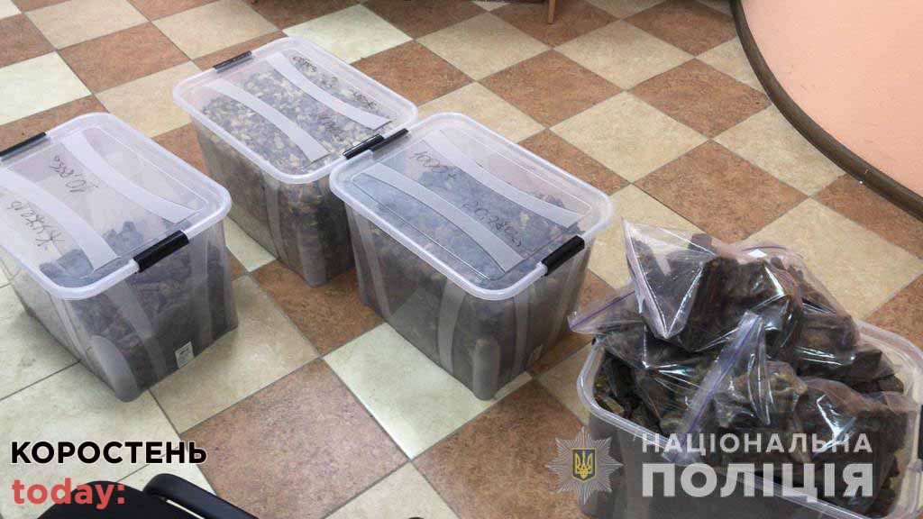 Коростенські правоохоронці вилучили у нелегальних бурштинокопачів понад 200 кг “сонячного каміння” ?ФОТО