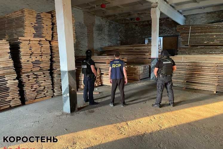 У Коростенському районі проводять обшуки на пилорамах: “чорні лісоруби” вирубали лісу майже на 5 млн грн