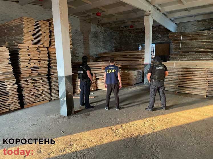 У Коростенському районі проводять обшуки на пилорамах: “чорні лісоруби” вирубали лісу майже на 5 млн грн