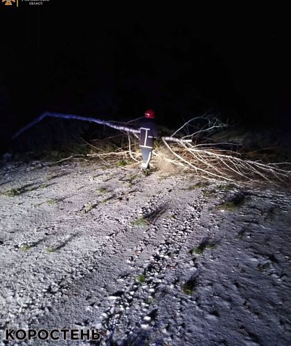 Через сильний вітер на автодорогу Овруч – Іванків попадали дерева ?ФОТО