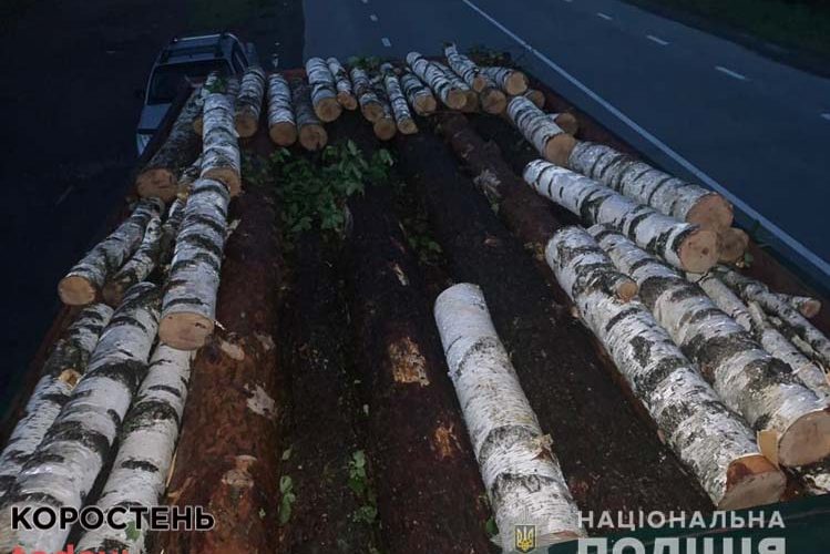 У Коростенському районі поліцейські зупинили вантажівку з деревиною: під березняком виявили соснові колоди