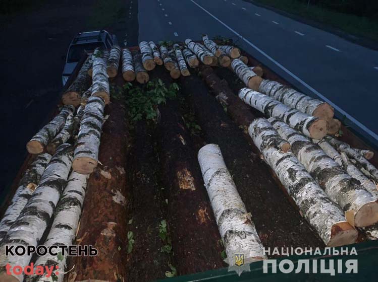У Коростенському районі поліцейські зупинили вантажівку з деревиною: під березняком виявили соснові колоди