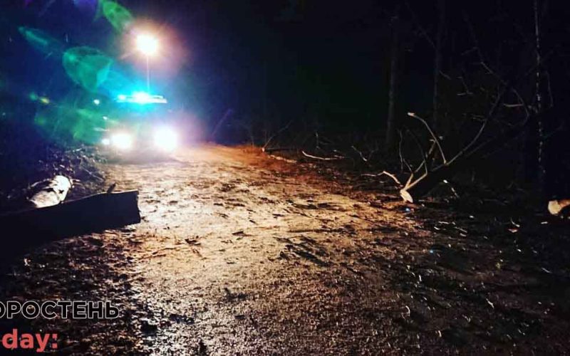 Коростенські рятувальники прибрали з дороги повалені дерева (ФОТО)