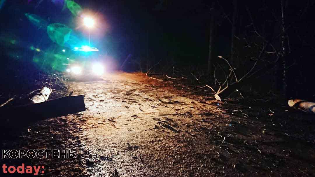 Коростенські рятувальники прибрали з дороги повалені дерева (ФОТО)