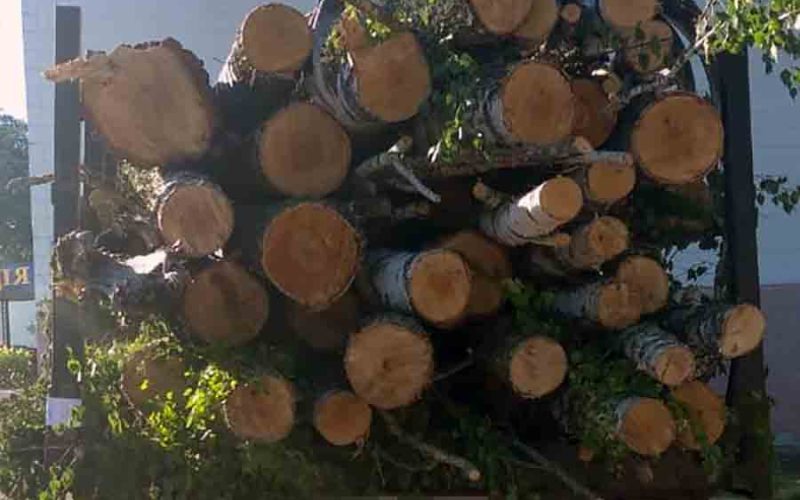 Коростенські поліцейські виявили ЗІЛ, завантажений деревиною: документів на ліс водій не мав ?ФОТО