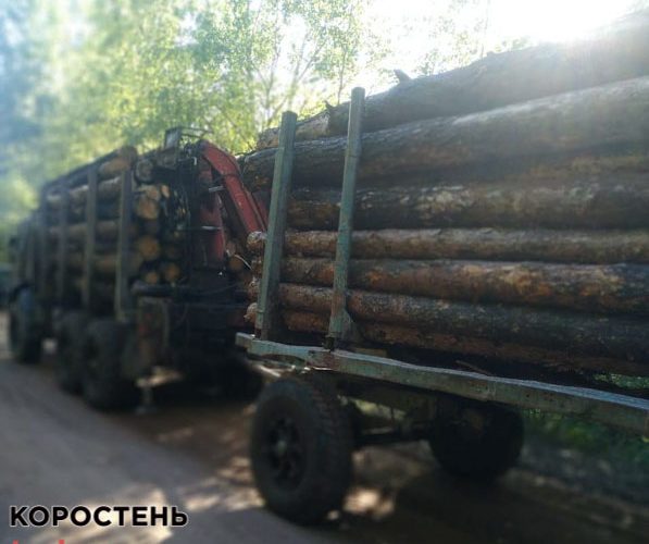 На території Овруцької громади прикордонники зупинили КАМАЗ з деревиною та без документів ?ФОТО