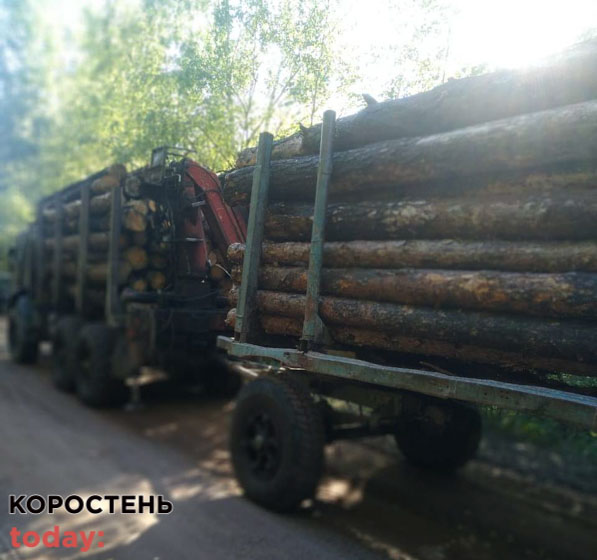 На території Овруцької громади прикордонники зупинили КАМАЗ з деревиною та без документів ?ФОТО