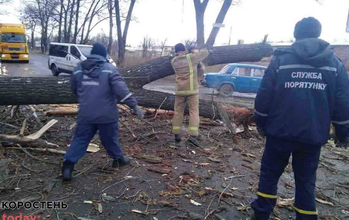 На автодорозі між Коростенем і Народичами впало дерево та перекрило частину траси