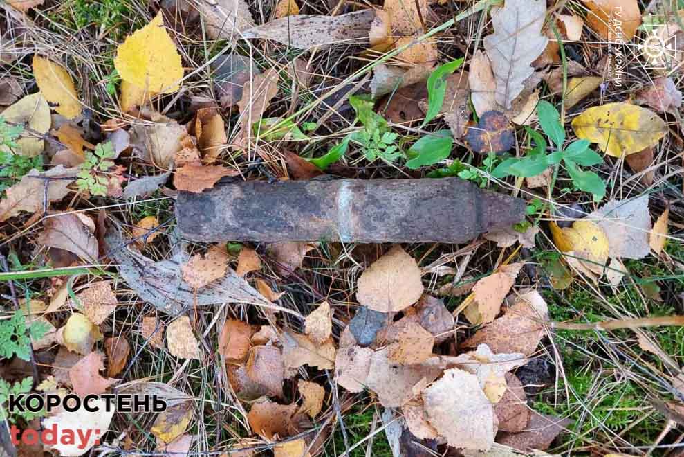 Поблизу одного з сіл Коростенського району піротехніки виявили міну, артснаряди та гранатометний постріл (ФОТО)