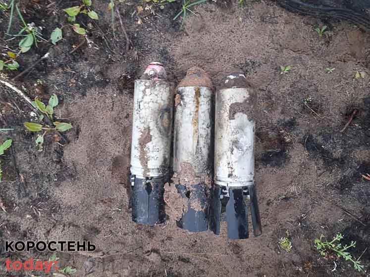 У селах Коростенського району піротехніки знищили елементи “Урагану” (ФОТО)