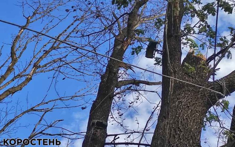 На Житомирщині піротехніки виїжджали на понад пів тисячі викликів про загрози або місця вибухів