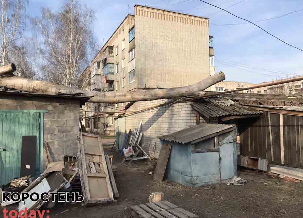 Коростенські рятувальники ліквідували десятиметрове аварійне дерево, що впало на господарські приміщення