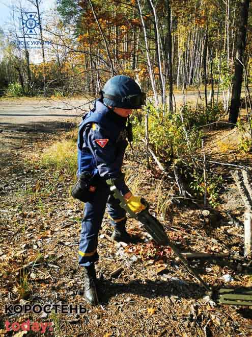 Поблизу сіл Народицької громади знайдені дві протитанкові міни, а на Малинщині – снаряд від “Граду” (ФОТО)