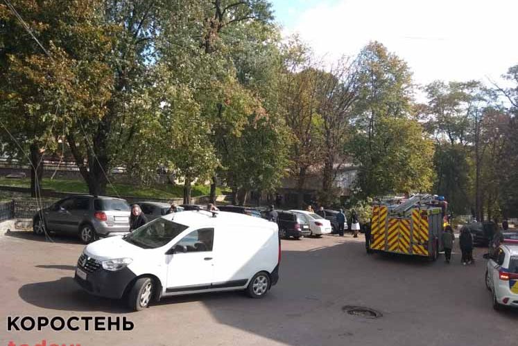 В коростенському парку впало сухе дерево: “накрило” машини ?ФОТО