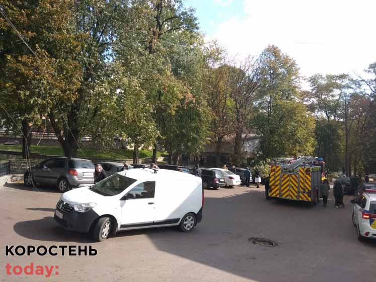 В коростенському парку впало сухе дерево: “накрило” машини ?ФОТО