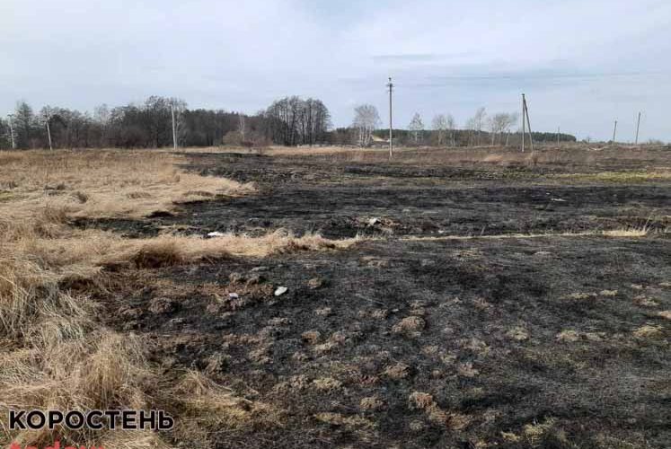У Коростені по вулиці Козака вогнеборці гасили займання сухої трави ?ФОТО