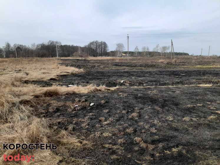 У Коростені по вулиці Козака вогнеборці гасили займання сухої трави ?ФОТО
