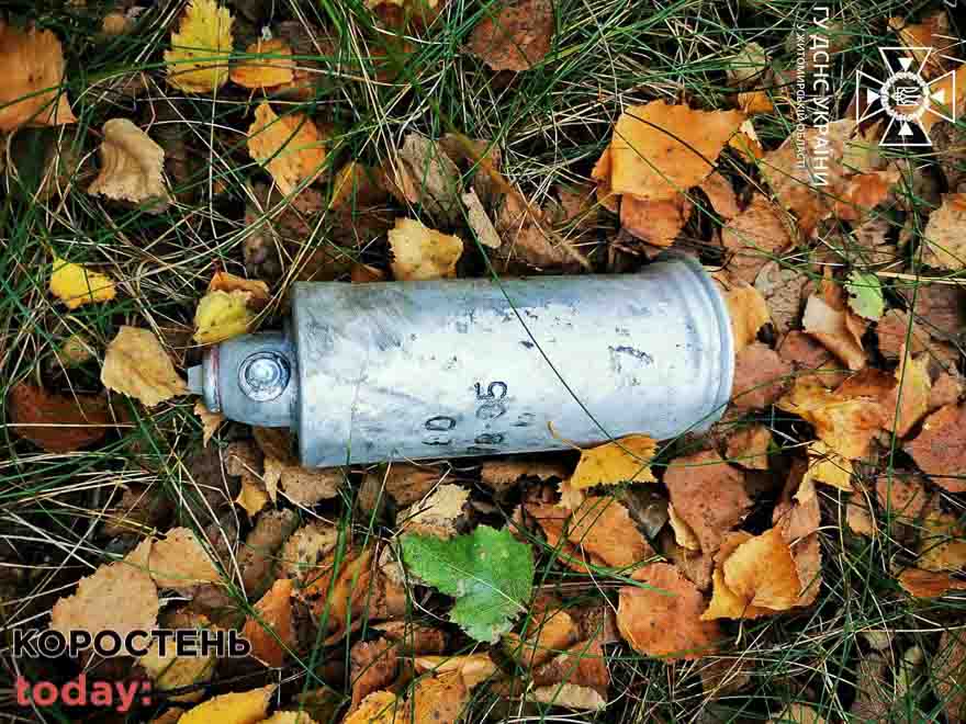 Біля Малина, Ушомира та на території Народицької громади виявлені снаряди й касетний елемент від “Урагану” ?ФОТО