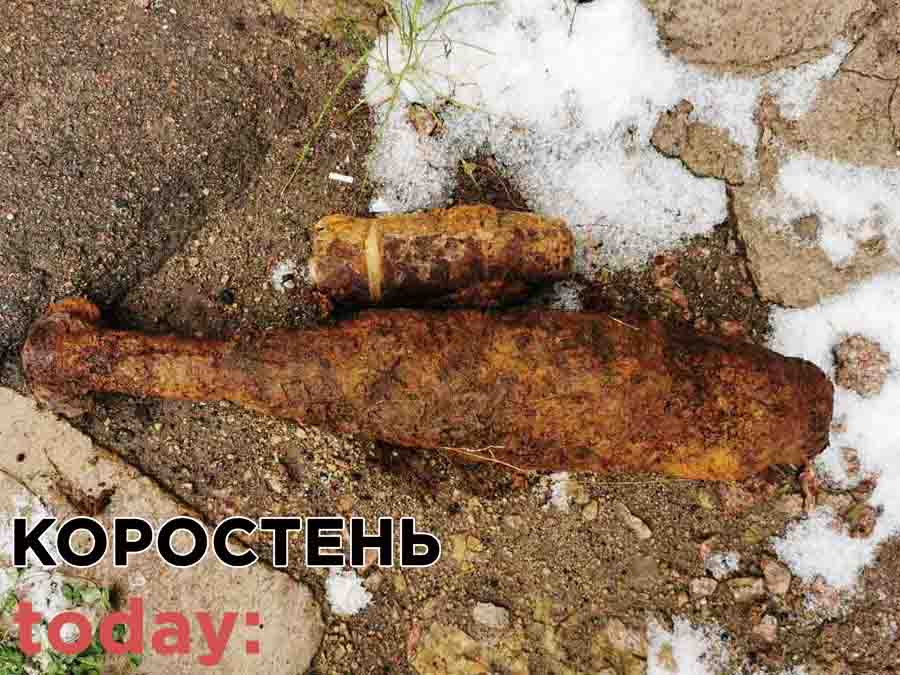 В Коростенському районі грибники натрапили на чотири вибухонебезпечні предмети