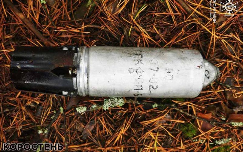 Поблизу сіл Малинської громади грибники знайшли у лісосмузі снаряди