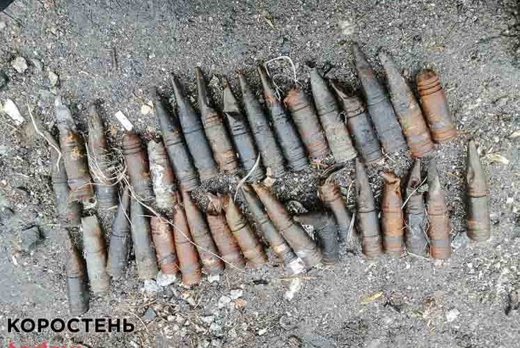 У селах Коростенського району вибухотехніки виявили та знешкодили касетні елементи “Урагану” та артснаряди (ФОТО)
