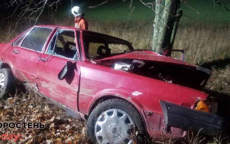 На Овруччині винуватець ДТП, в якому загинула пасажирка, отримав 2 роки ув’язнення