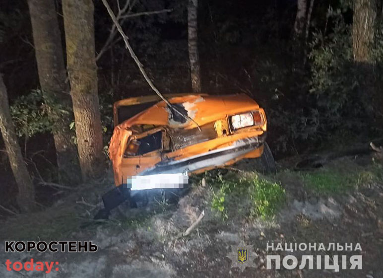 Між селами Ємільчинської громади водійка з Коростеня з’їхала з дороги на ВАЗ, врізалась в дерево та загинула (ФОТО)