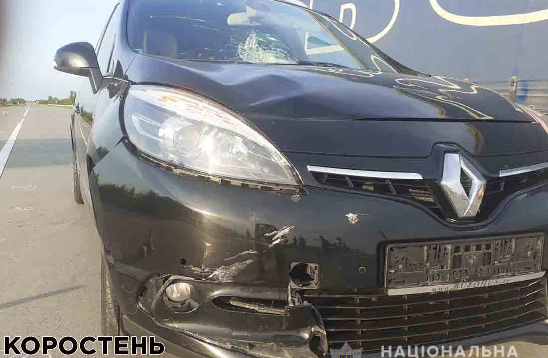 На трасі біля одного з сіл Лугинського району під колеса Renault потрапила 9-річна дівчинка ?ФОТО