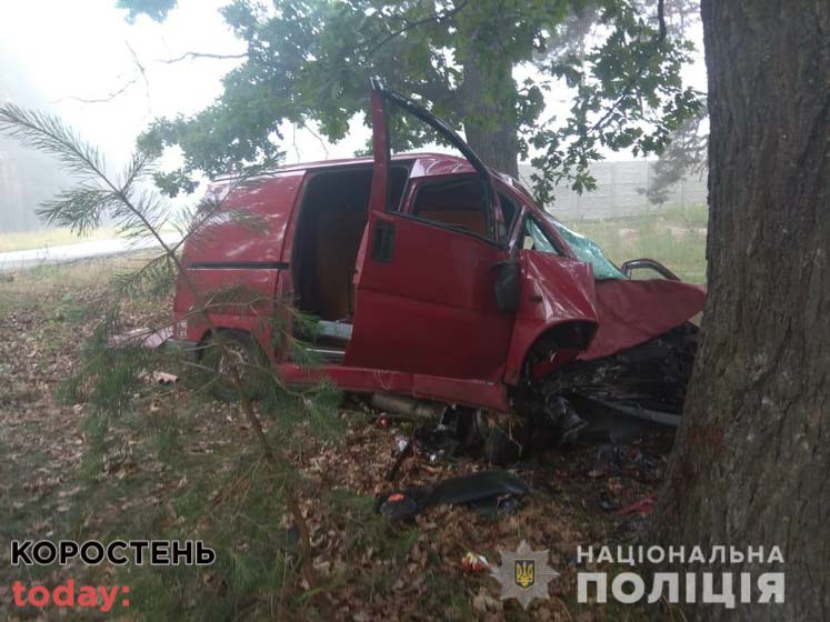 У ДТП на Житомирщині трагічно загинула мешканка Малинського району