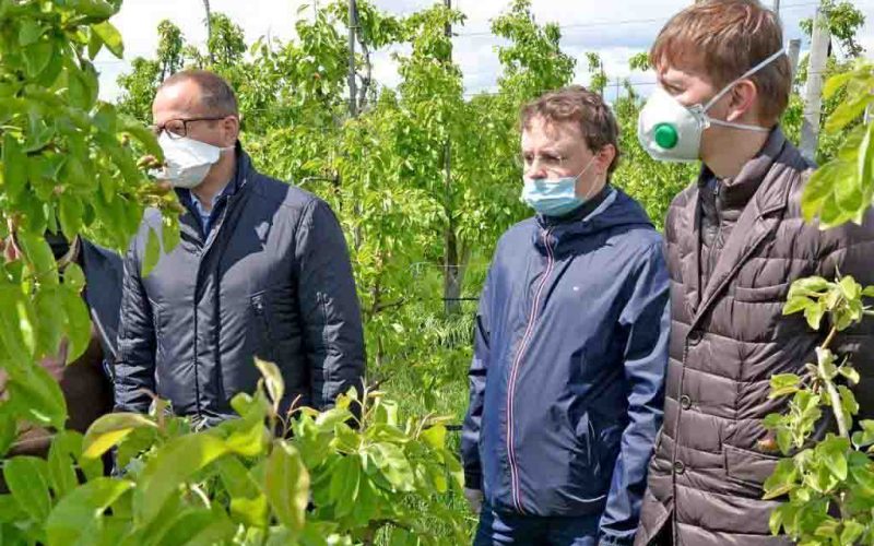 Держава і надалі буде підтримувати такі господарства, – Володимир Федоренко про агрофірму «Фрутко»