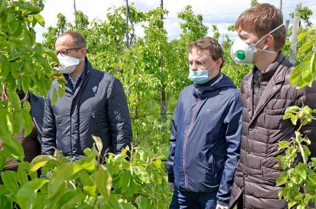Держава і надалі буде підтримувати такі господарства, – Володимир Федоренко про агрофірму «Фрутко»