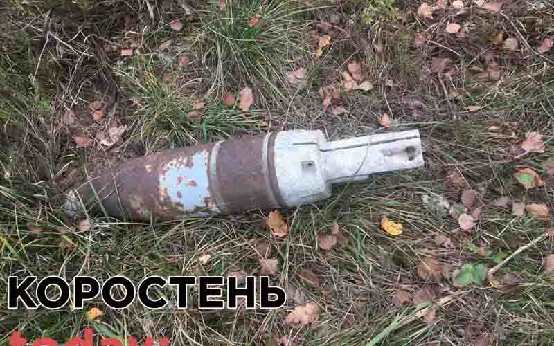 В Коростенському районі грибники натрапили на боєприпаси