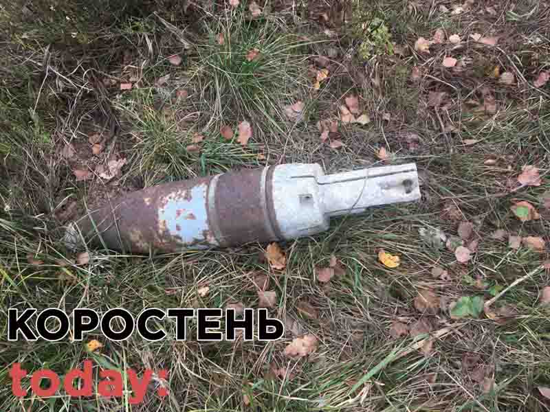 В Коростенському районі грибники натрапили на боєприпаси