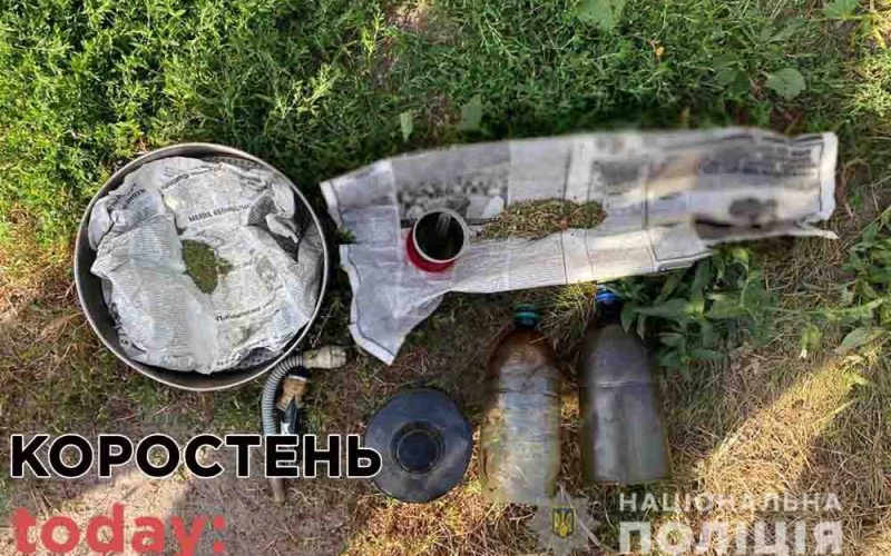 В Коростені чоловік виростив 200 кущів коноплі для власного вжитку ?ФОТО