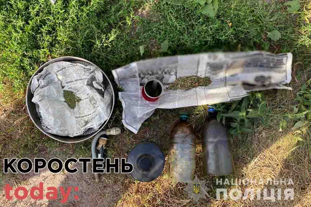 В Коростені чоловік виростив 200 кущів коноплі для власного вжитку ?ФОТО
