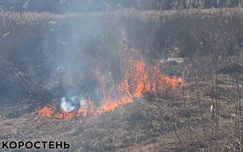 На полі біля траси в Коростенському районі рятувальники гасили займання сухої трави