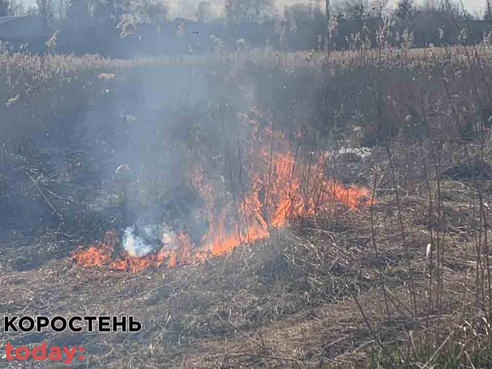 На полі біля траси в Коростенському районі рятувальники гасили займання сухої трави