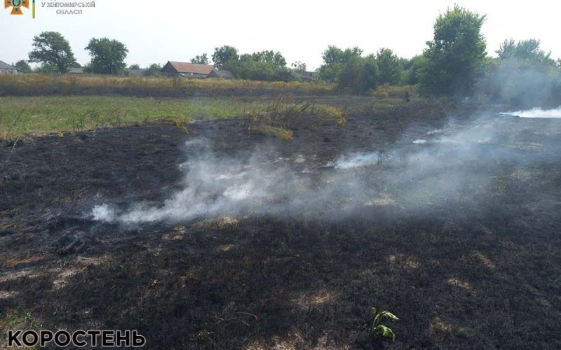 У селі біля Коростеня знову горіло сміттєзвалище
