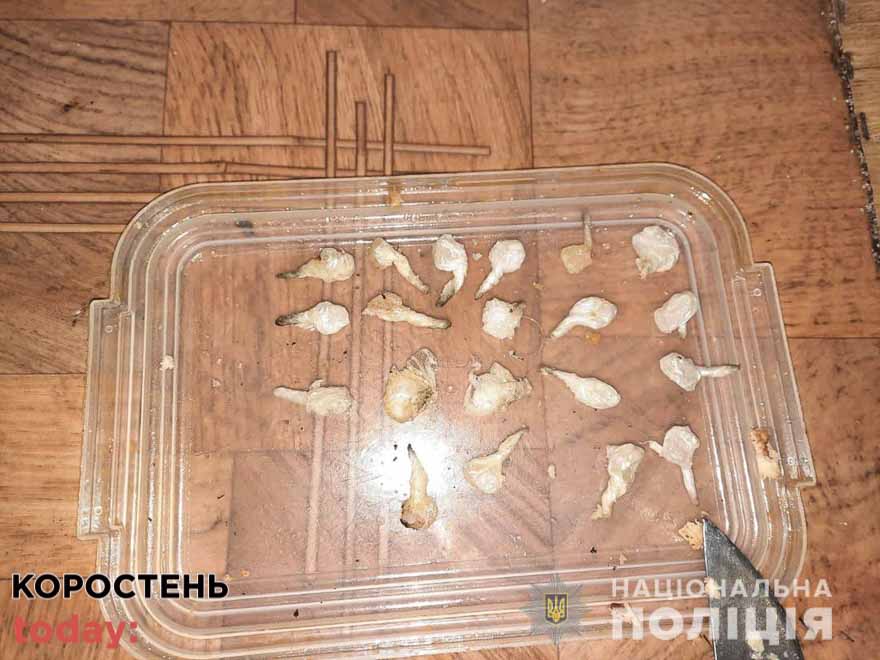 У Коростені 20-річна дівчина намагалась передати ув’язненому співмешканцю наркотики в котлетах ?ФОТО