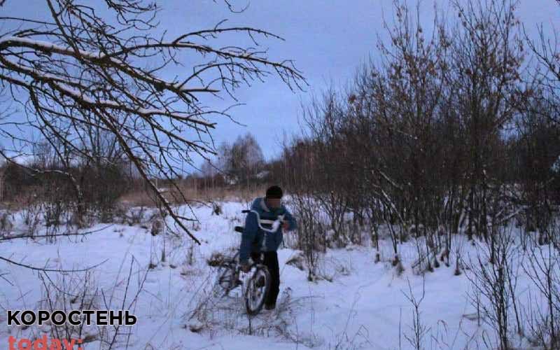 У двох селах Коростенського району поліцейські розшукали злодіїв, які винесли з обійсть чуже майно ?ФОТО