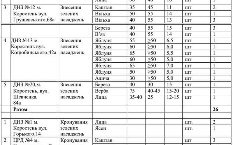 За кронування дерев на території коростенських дитсадків збираються заплатити 300 тис. грн
