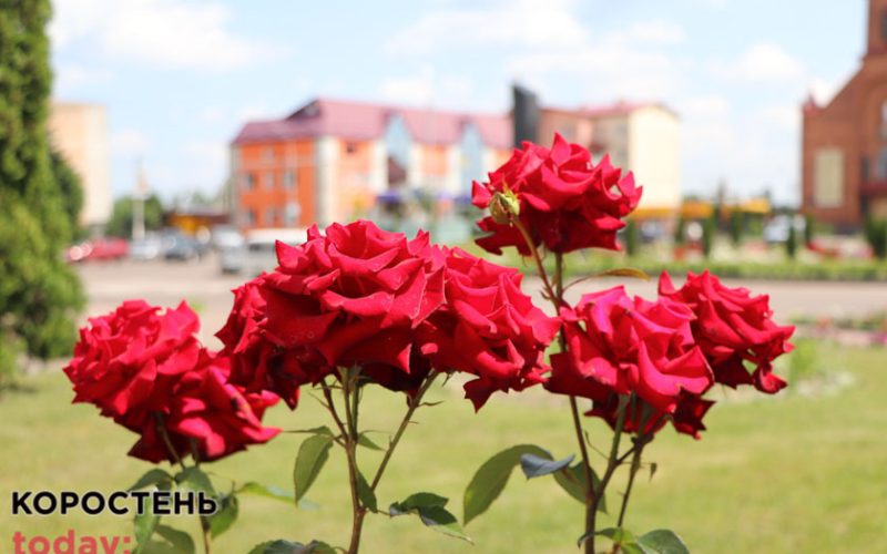 Квітучий Олевськ ?ФОТОрепортаж