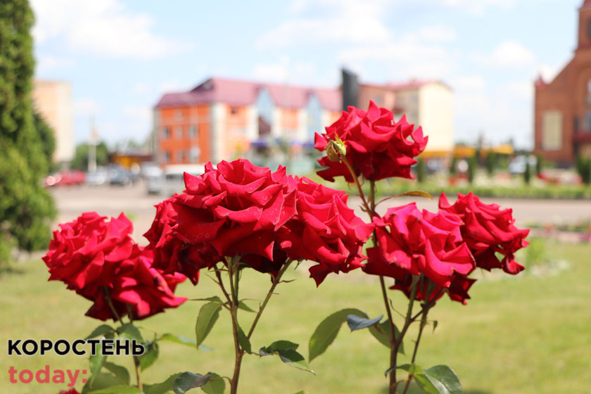 Квітучий Олевськ ?ФОТОрепортаж