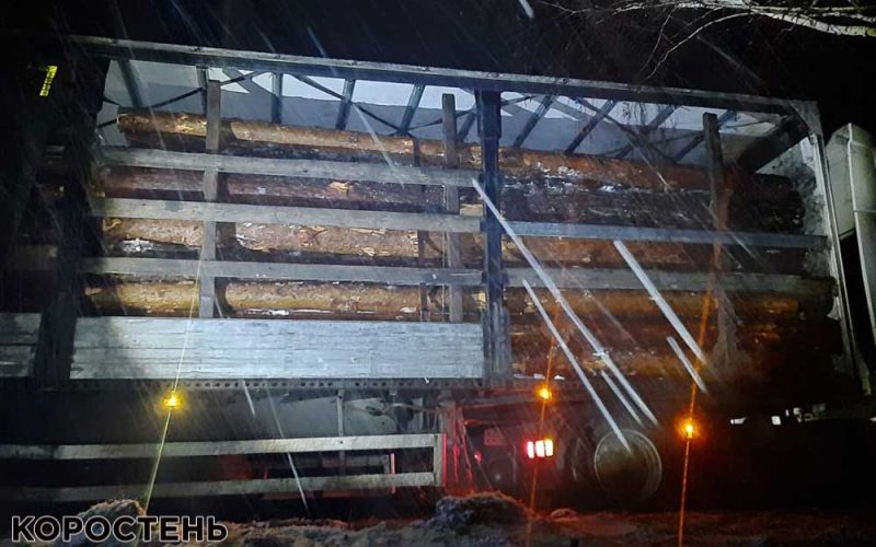 Поблизу одного з сіл Коростенського району поліцейські затримали вантажівку з сосновими колодами, документів на деревину водій не надав