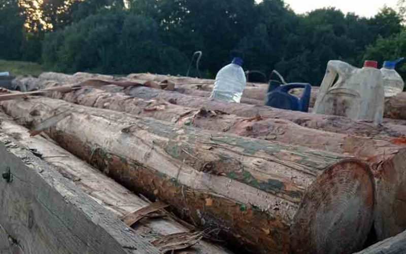 На Олевщині затримали трактор з незаконним лісом