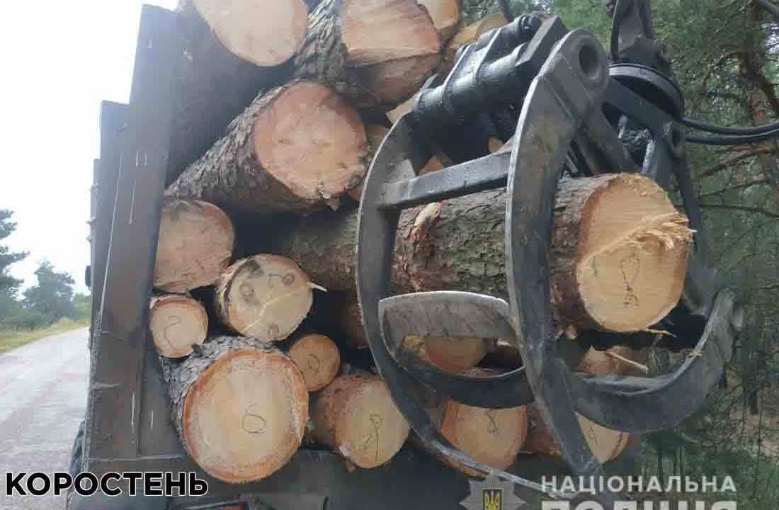 В Овруцькому районі поліцейські зупинили Камаз, водій перевозив деревину без документів